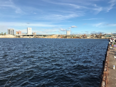 今日も砂揚げ場