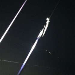 ドジョウテンヤタチウオ