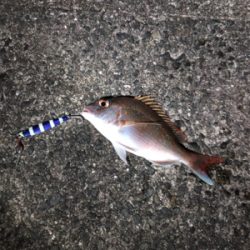 台風前の神戸遠征