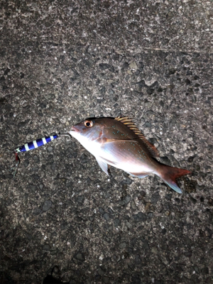 台風前の神戸遠征