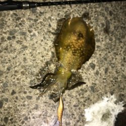 加太〜岬ランガン