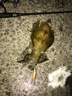 加太〜岬ランガン