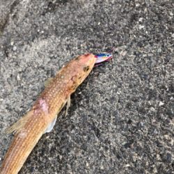 やってもたΣ（ﾟдﾟlll）