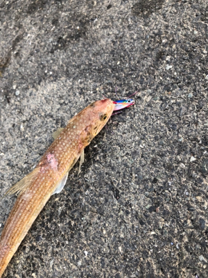 やってもたΣ（ﾟдﾟlll）