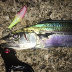 タチサゴパターン、ラストが…