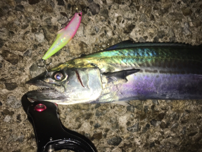 タチサゴパターン、ラストが…