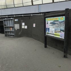 浜から投げ釣り