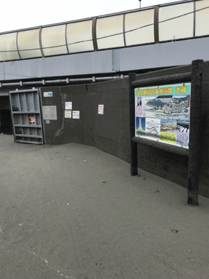 浜から投げ釣り