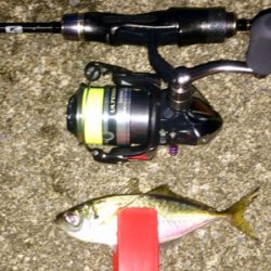 アジンガー1832〜2025