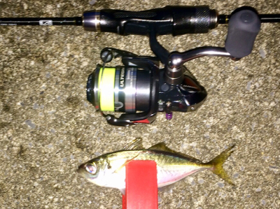 アジンガー1832〜2025