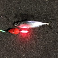 鶴浜緑地運動場