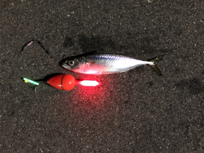 鶴浜緑地運動場