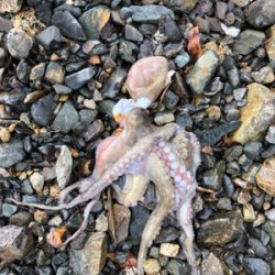 親父たちの釣行 第12弾