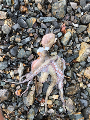 親父たちの釣行 第12弾