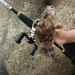 久しぶりの穴釣り