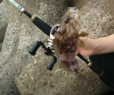 久しぶりの穴釣り