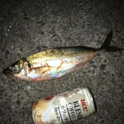 まだ、居てた！