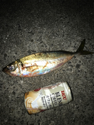 まだ、居てた！