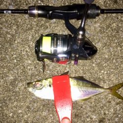 アジンガー1808〜2028