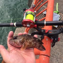 平磯再開第一戦