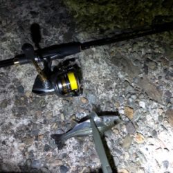 アジングのつもりが…