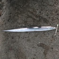 今日も行っちゃいました！