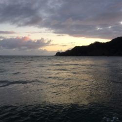 ショアジギング