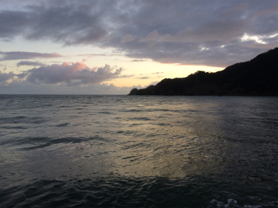 ショアジギング