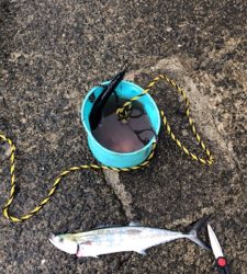 台風一過を期待して