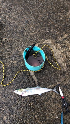 台風一過を期待して