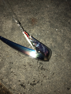 ゆうまづめの1時間釣行でサバ、そしてタチウオ!