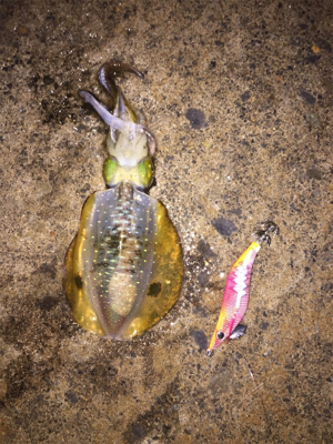 台風一過の連休最終日