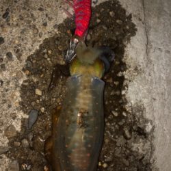 久しぶりの和歌山遠征