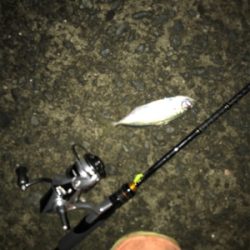 台風直後の樋島釣行