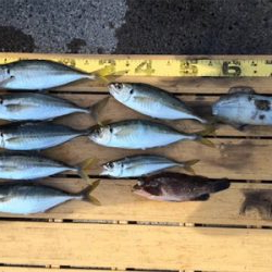 手こぎボートで！