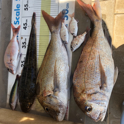 今年初のタイラバ釣行