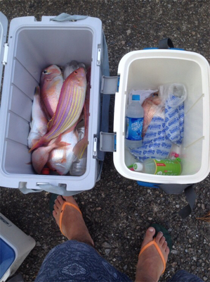 尾鷲タイラバ釣行