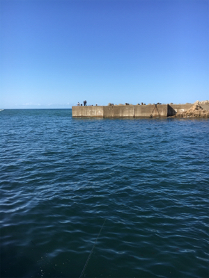 今年初エギング！