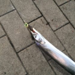 爆発力なし、サイズは小型化