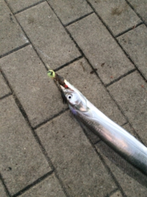 爆発力なし、サイズは小型化