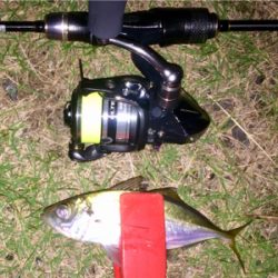 アジンガー1848〜2038