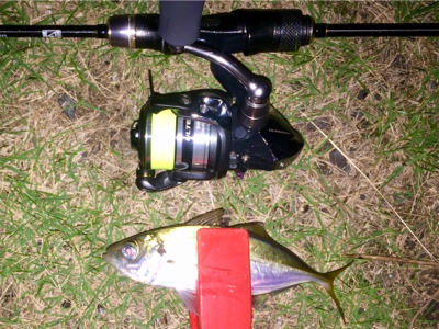 アジンガー1848〜2038