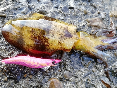 出勤前の10分勝負！