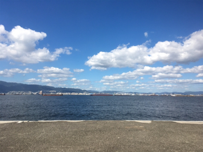 ウミガメにご注意を。