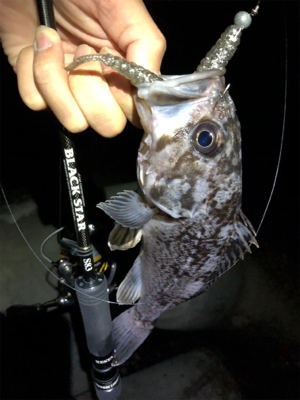 短時間ナイトロ