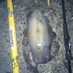 この時期にしたらいいサイズ