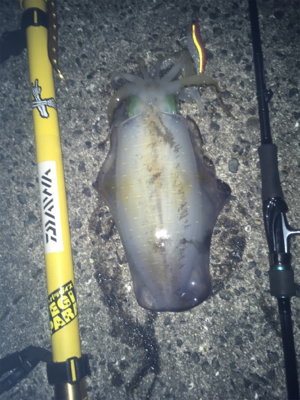 この時期にしたらいいサイズ