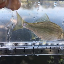 連休最後はのんびりと