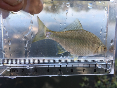 連休最後はのんびりと