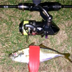 アジンガー1840〜2041